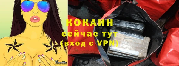 гидра Абаза