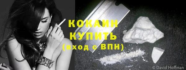 гидра Абаза