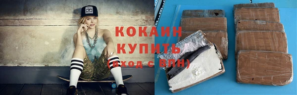 гидра Абаза
