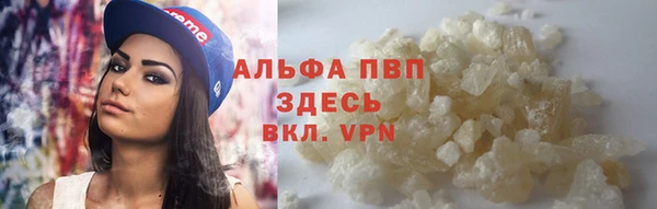 гидра Абаза