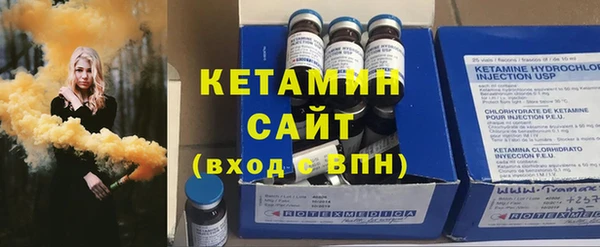 гидра Абаза